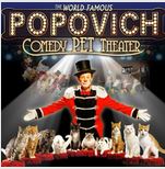 half price shows gregory popovich comedy pet theater