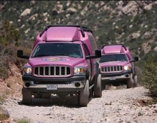 tour red rock in the pink jeep