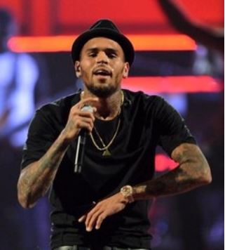 chris brown supports gay marriage
